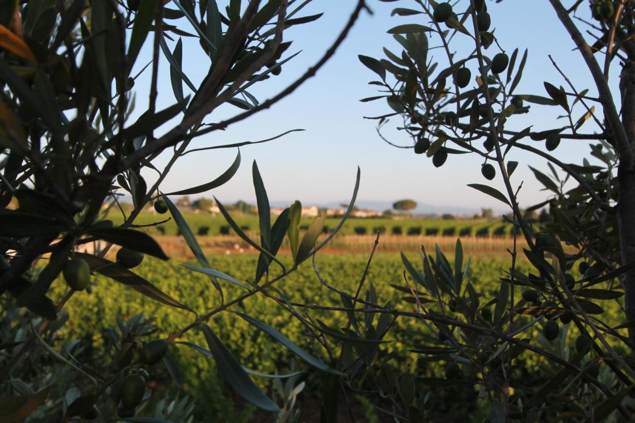 Agrihotel Elisabetta Collemezzano Exteriér fotografie