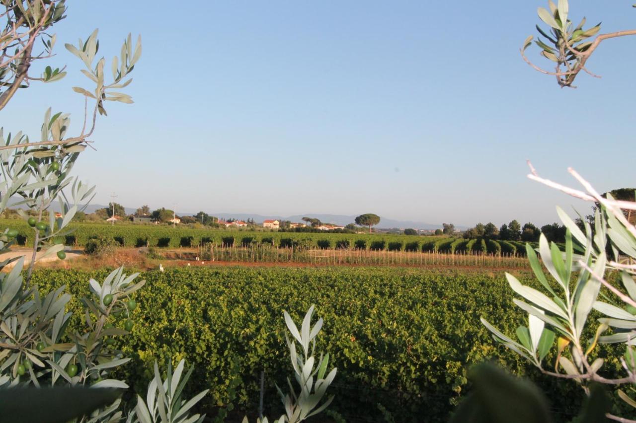 Agrihotel Elisabetta Collemezzano Exteriér fotografie